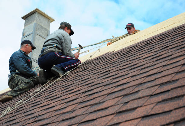 Best Roof Maintenance Services  in Pratt, KS